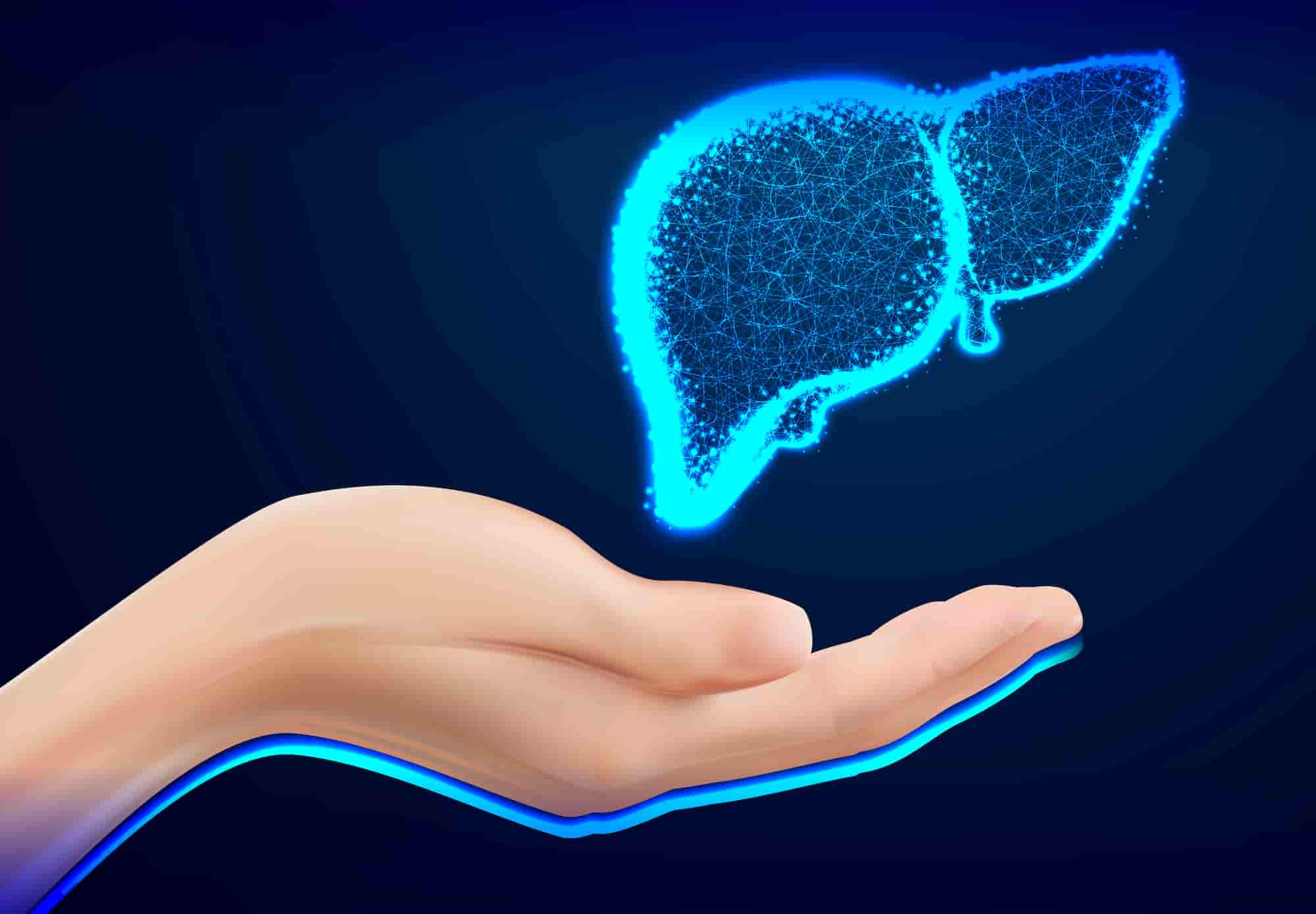 La importancia del hígado para la salud integral