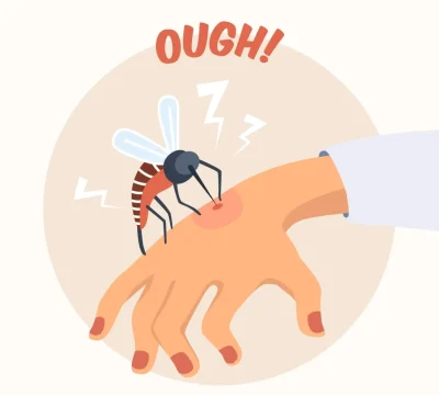 Homeopatía para picadura de insectos