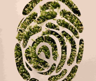 Principios-de-sostenibilidad-aplicados-al-cuerpo-y-la-mente