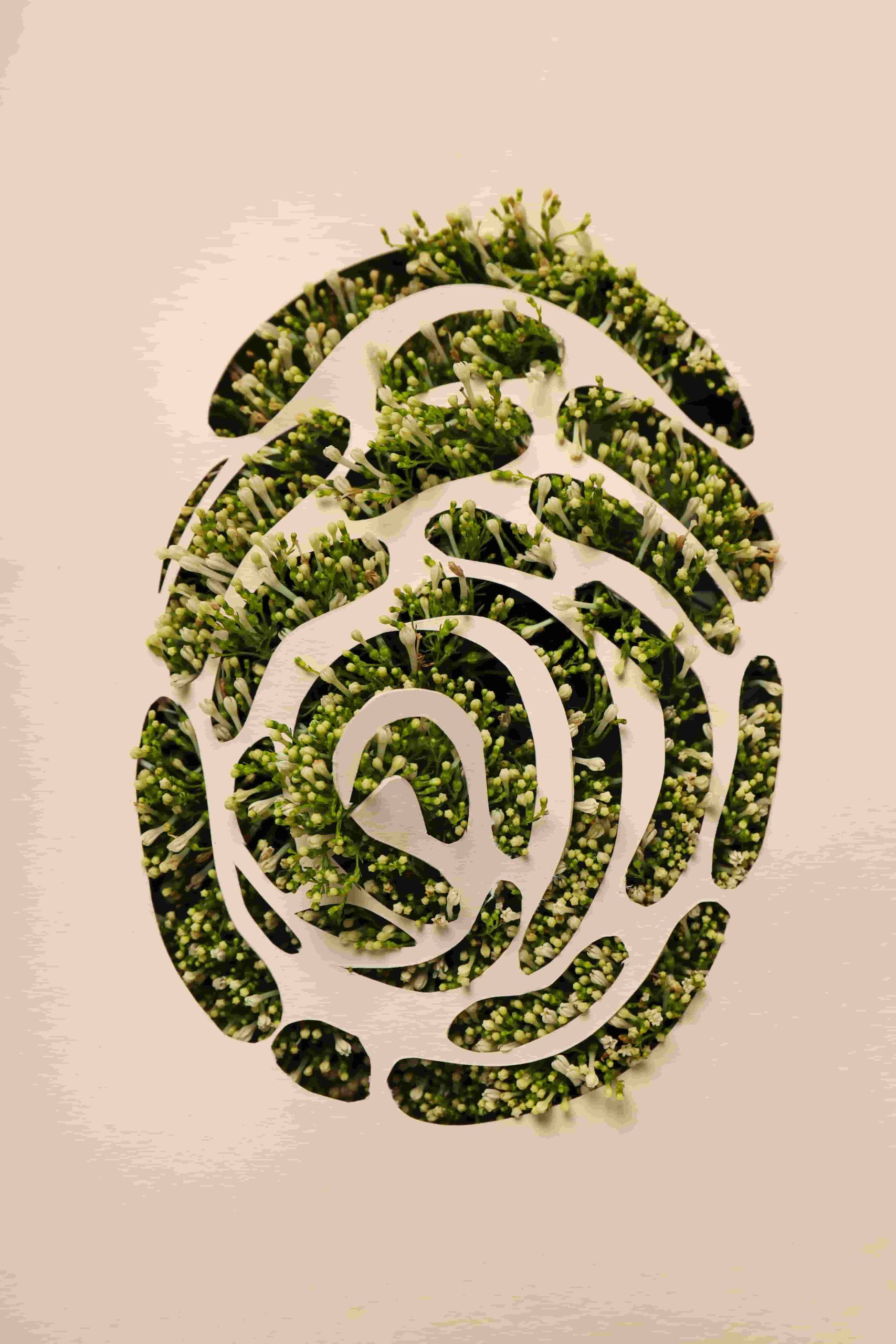 Principios-de-sostenibilidad-aplicados-al-cuerpo-y-la-mente